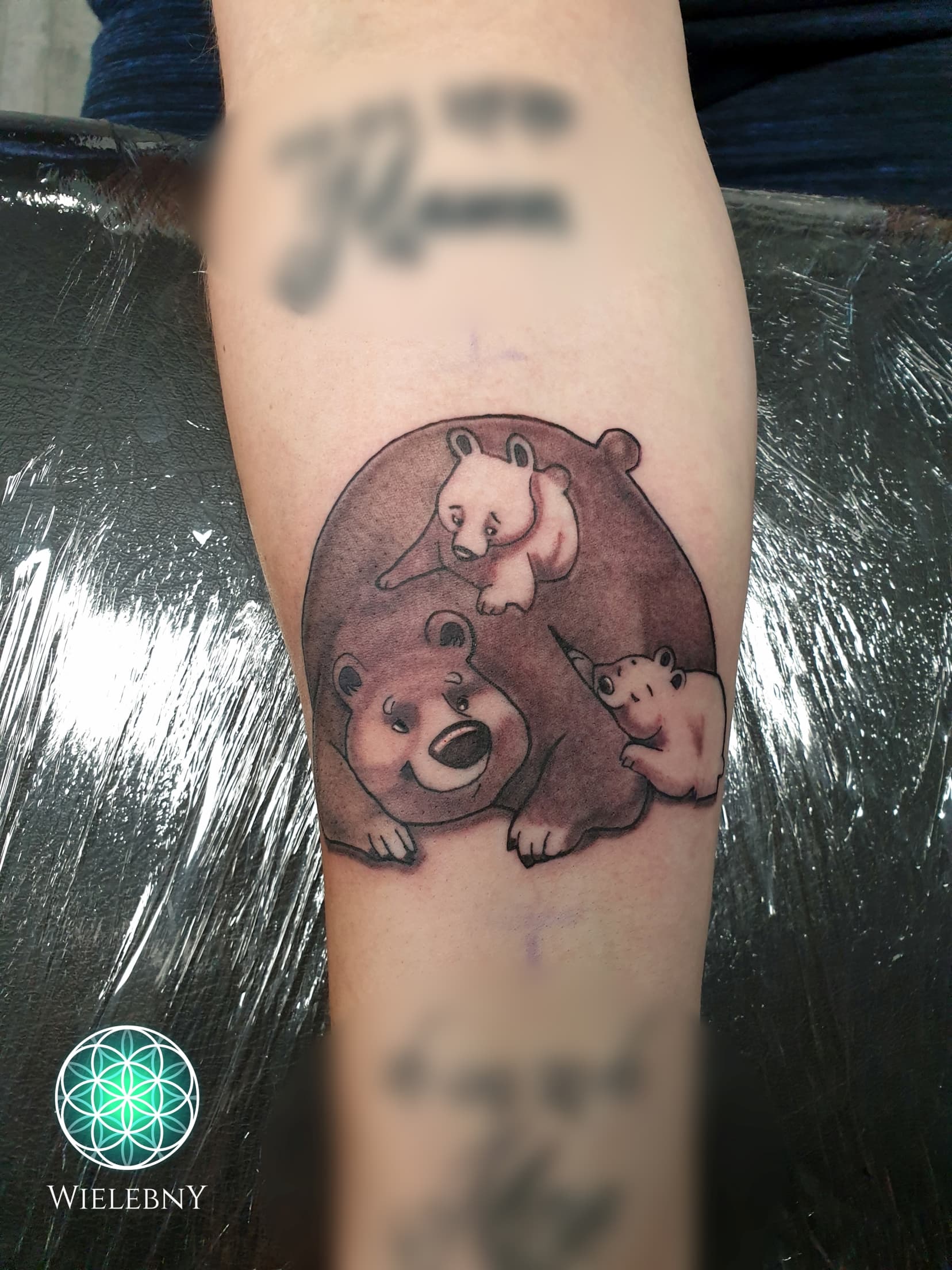 Bear Comic