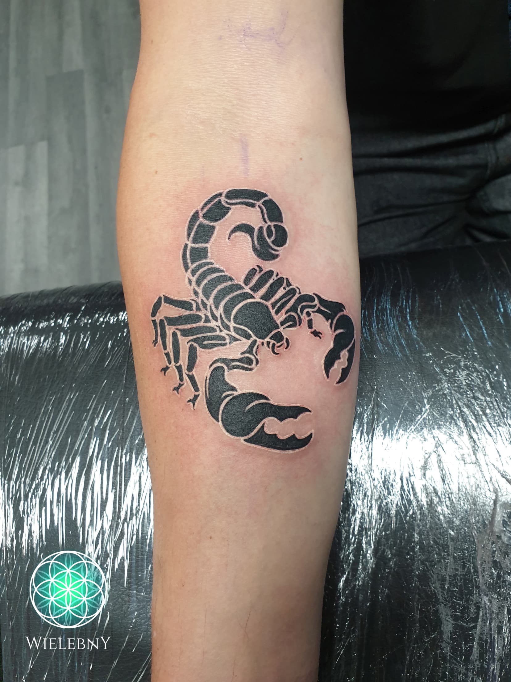 Scorpion