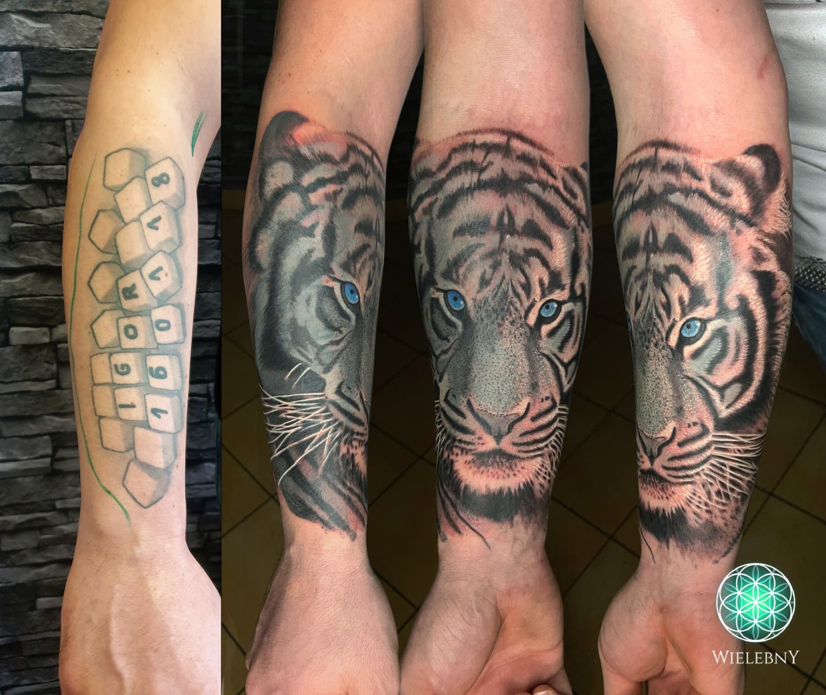 Tiger grays cover-up