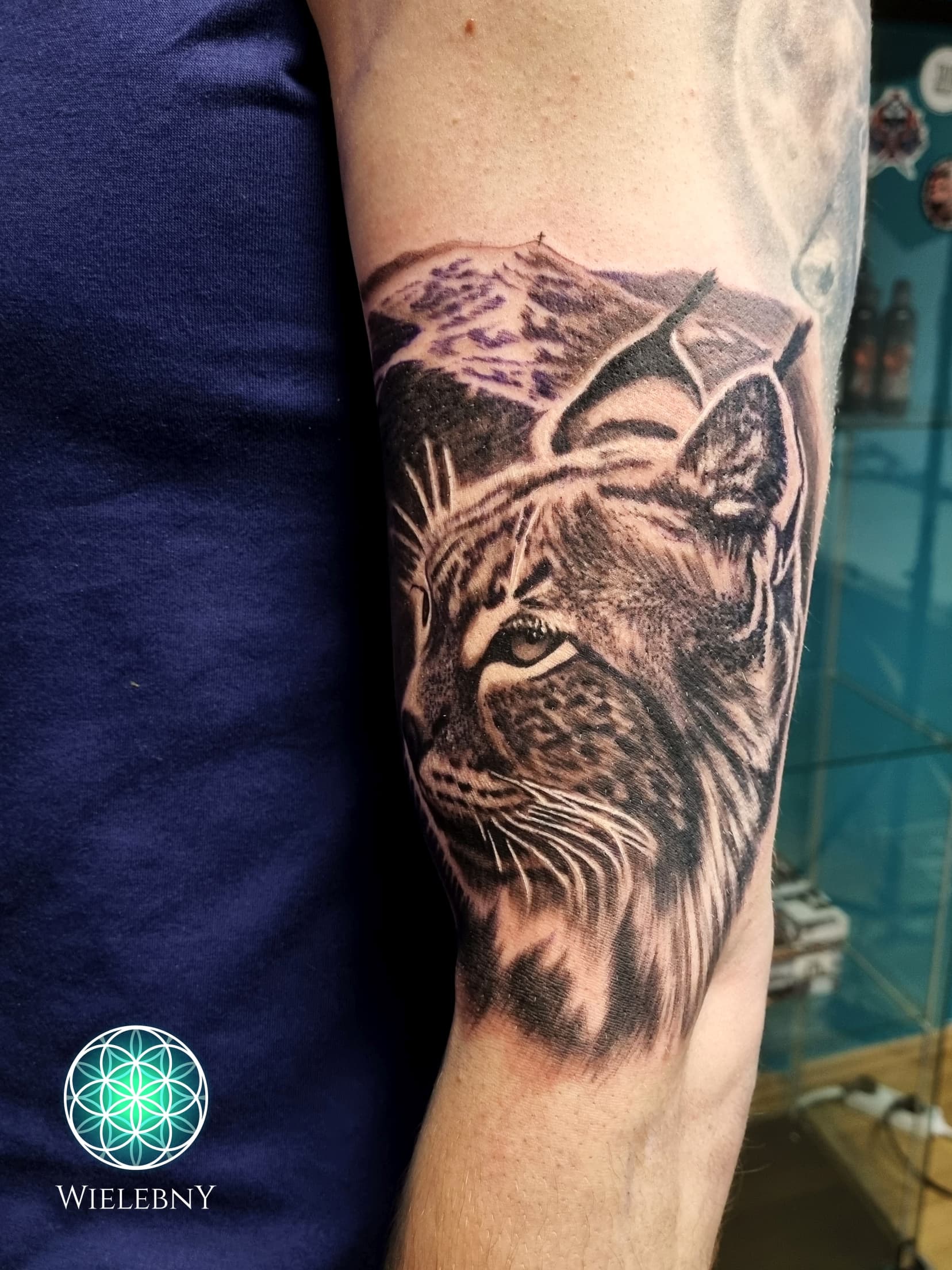 Lynx