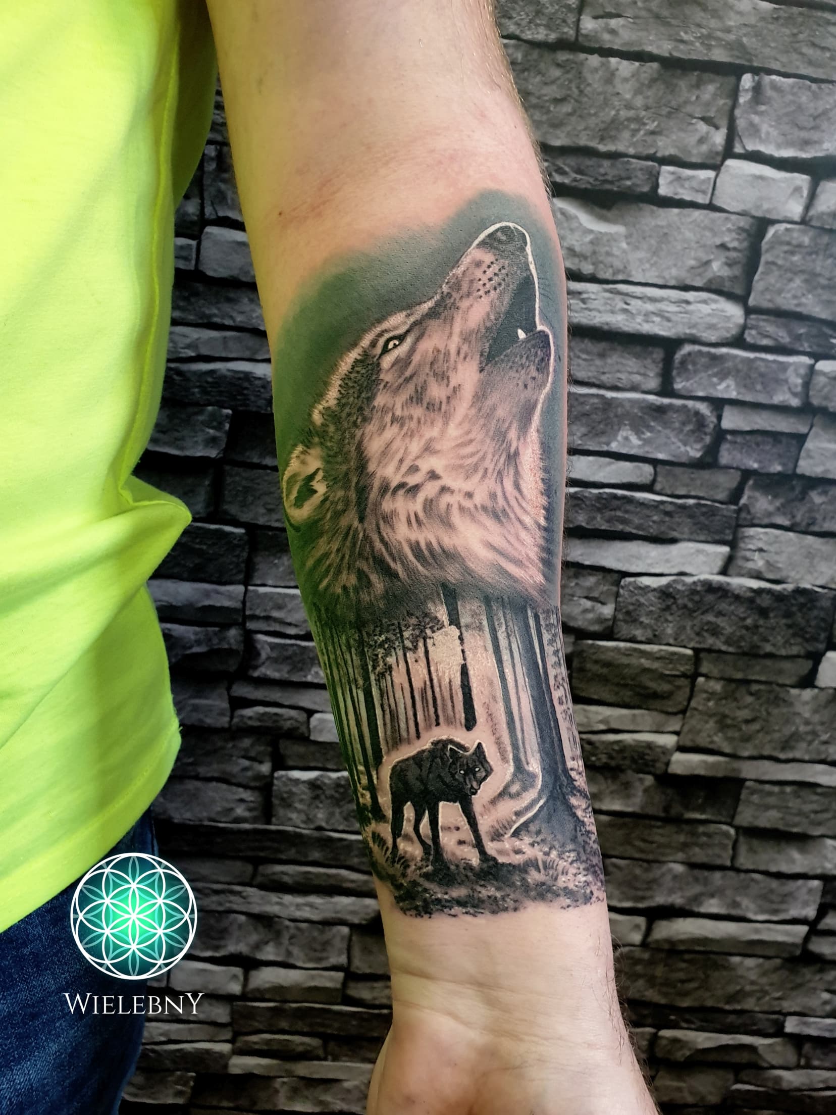 Wolf