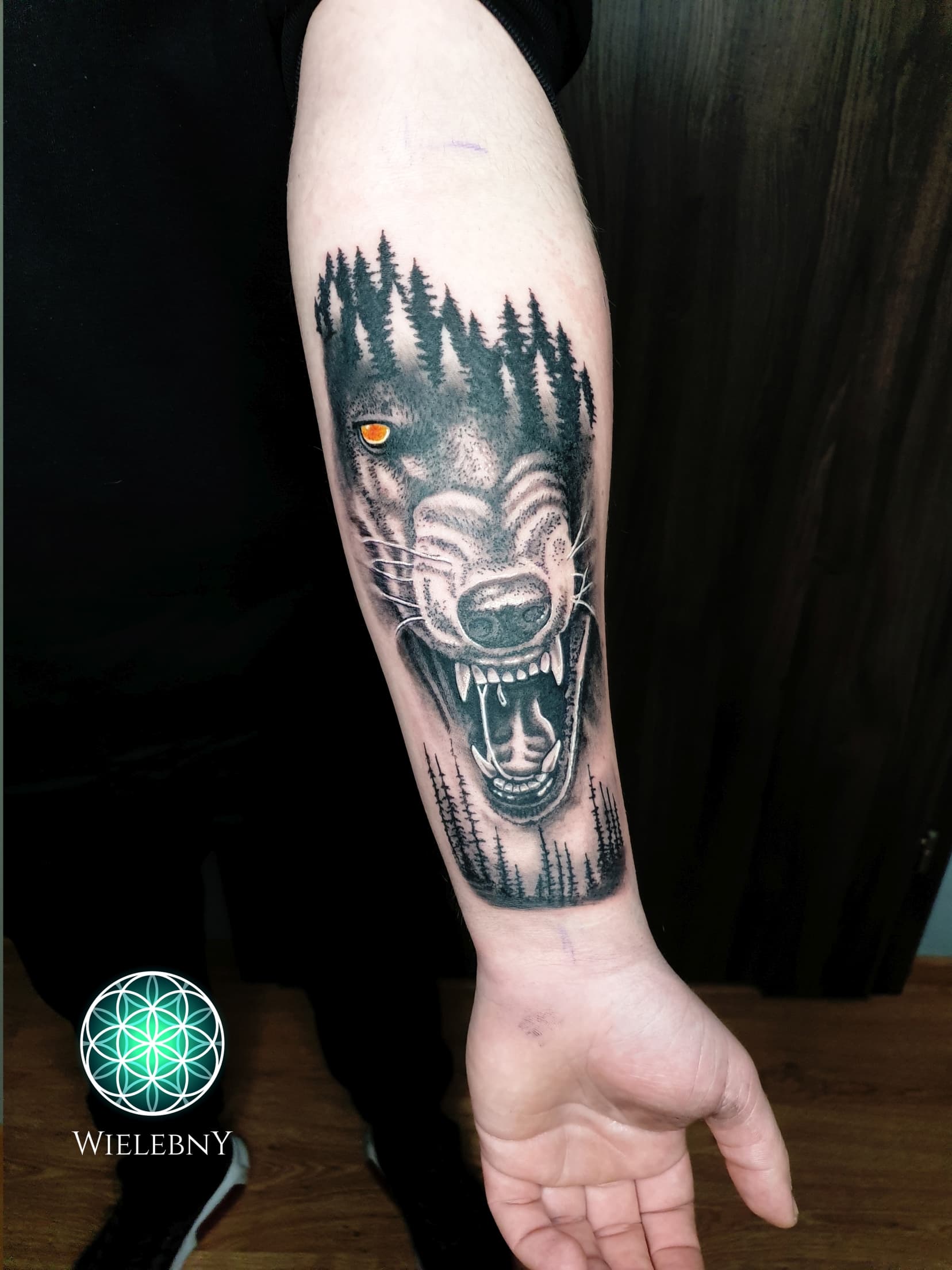 Wolf