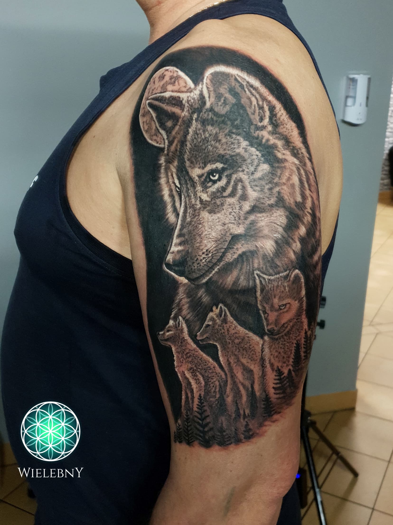 wolf family