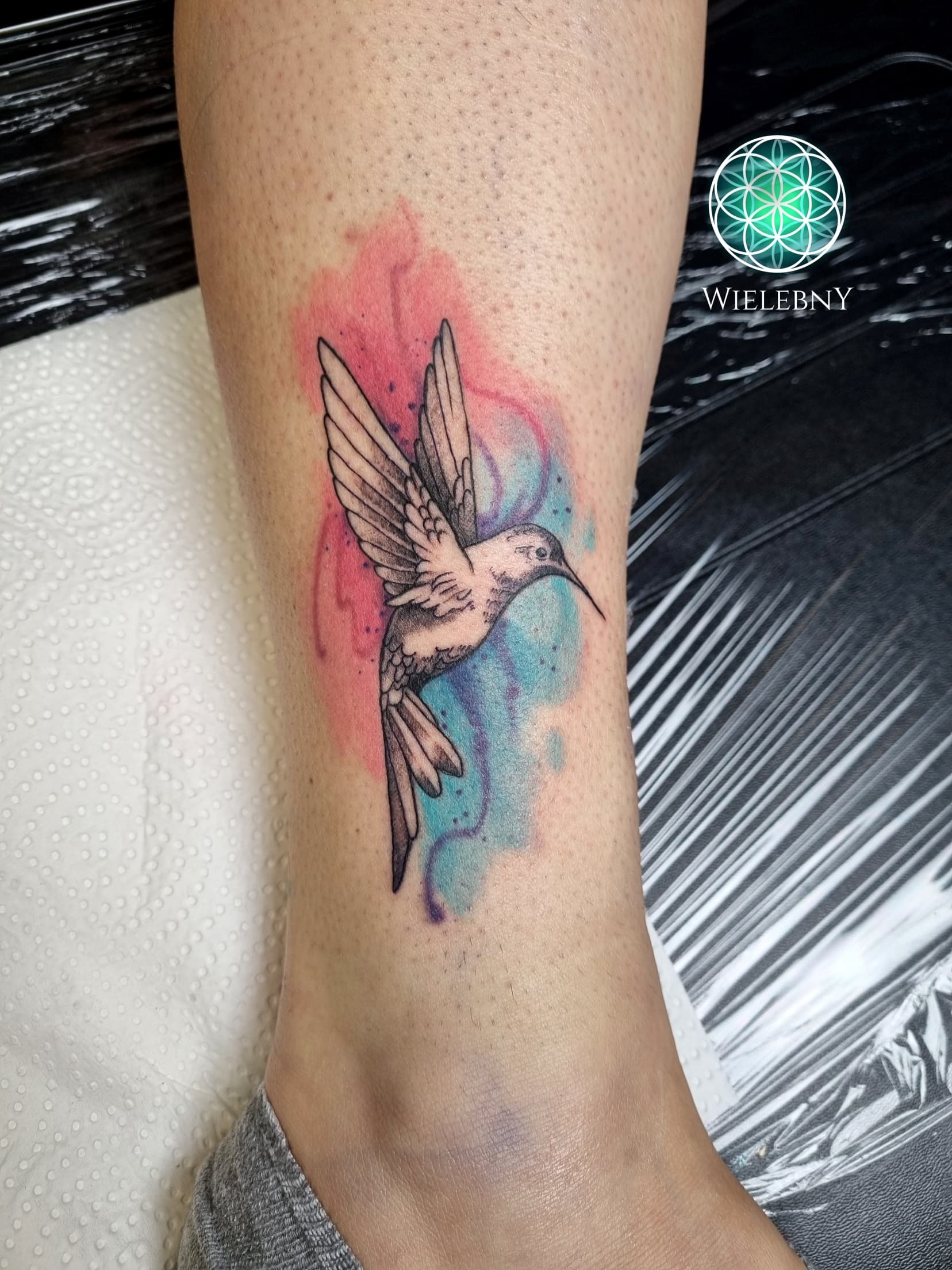 Hummingbird