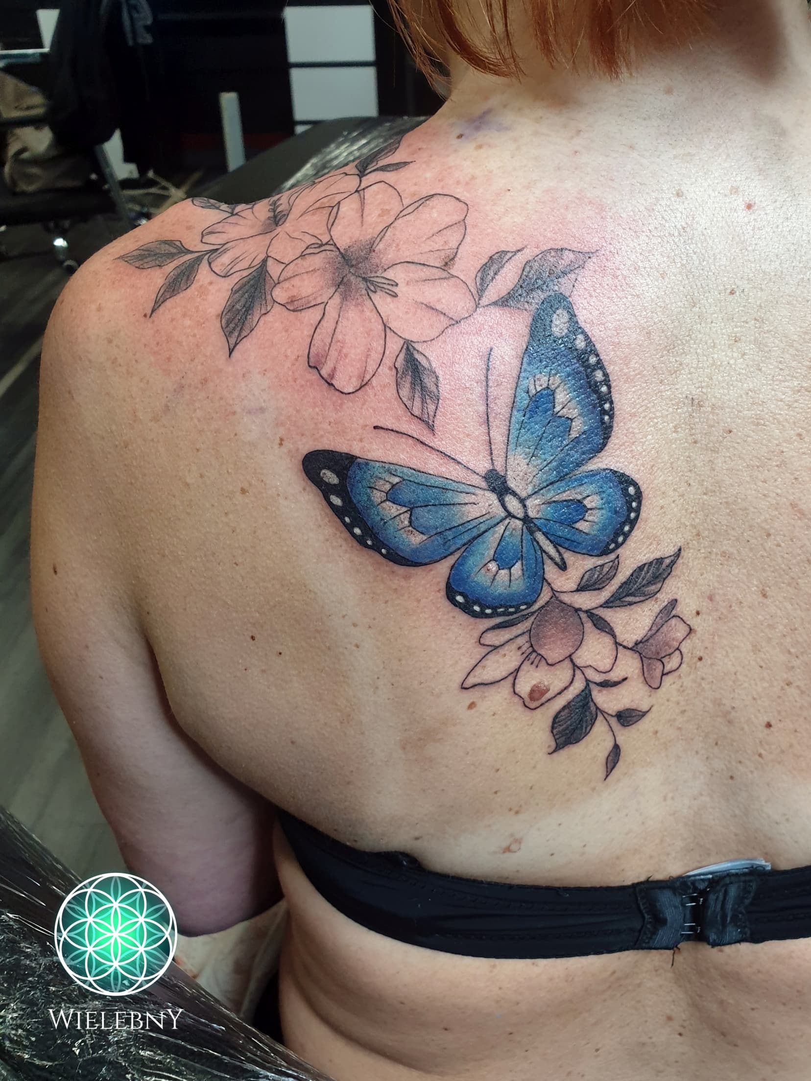 Motyl