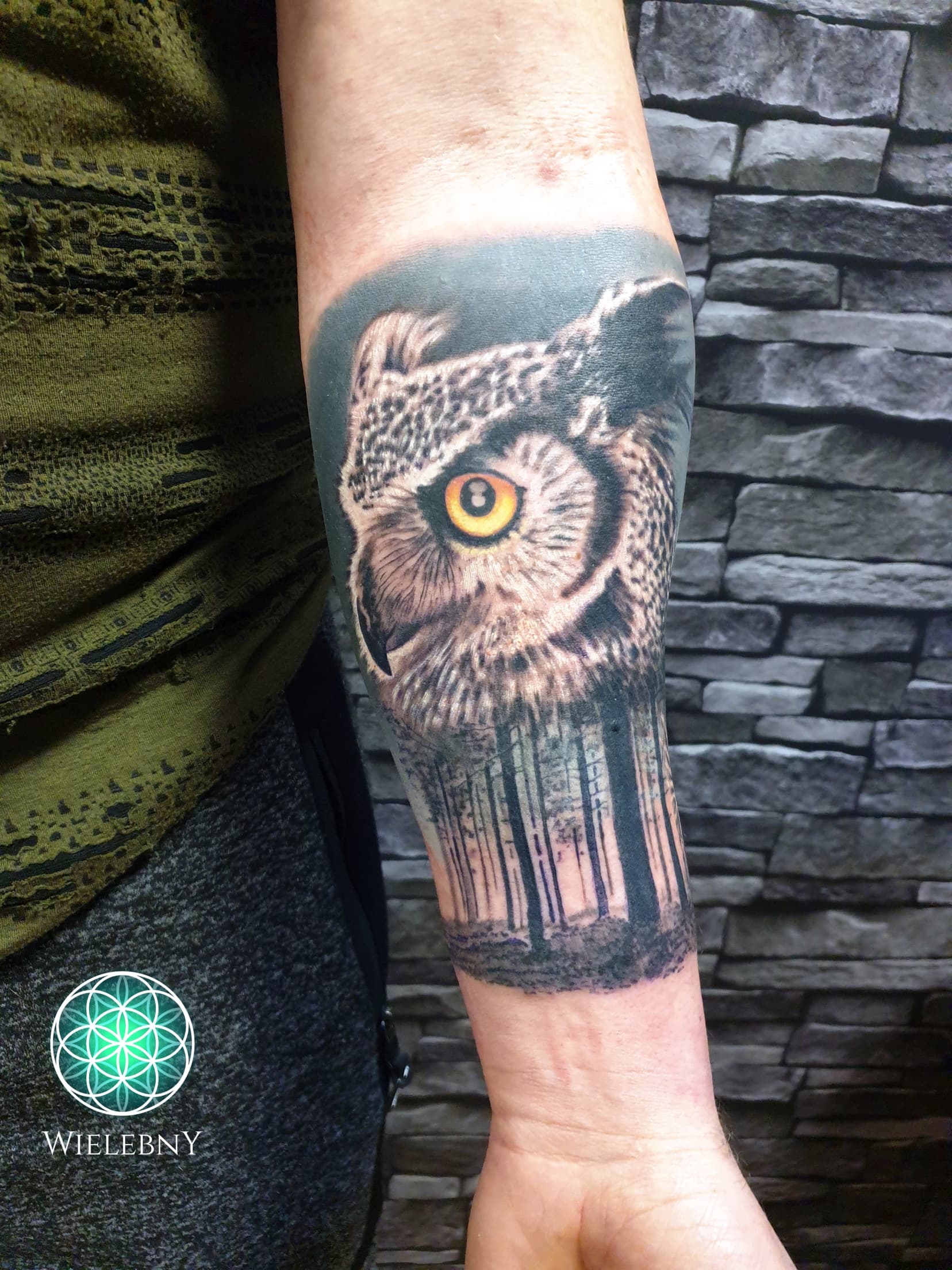 Owl