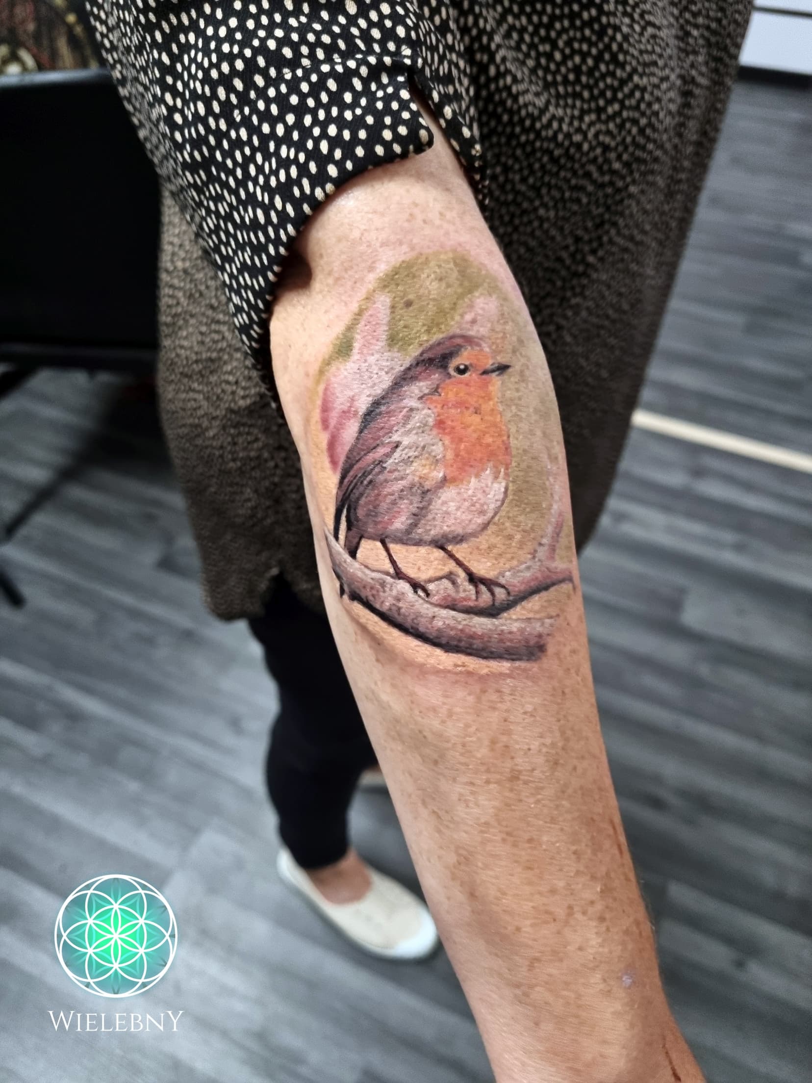 Robin