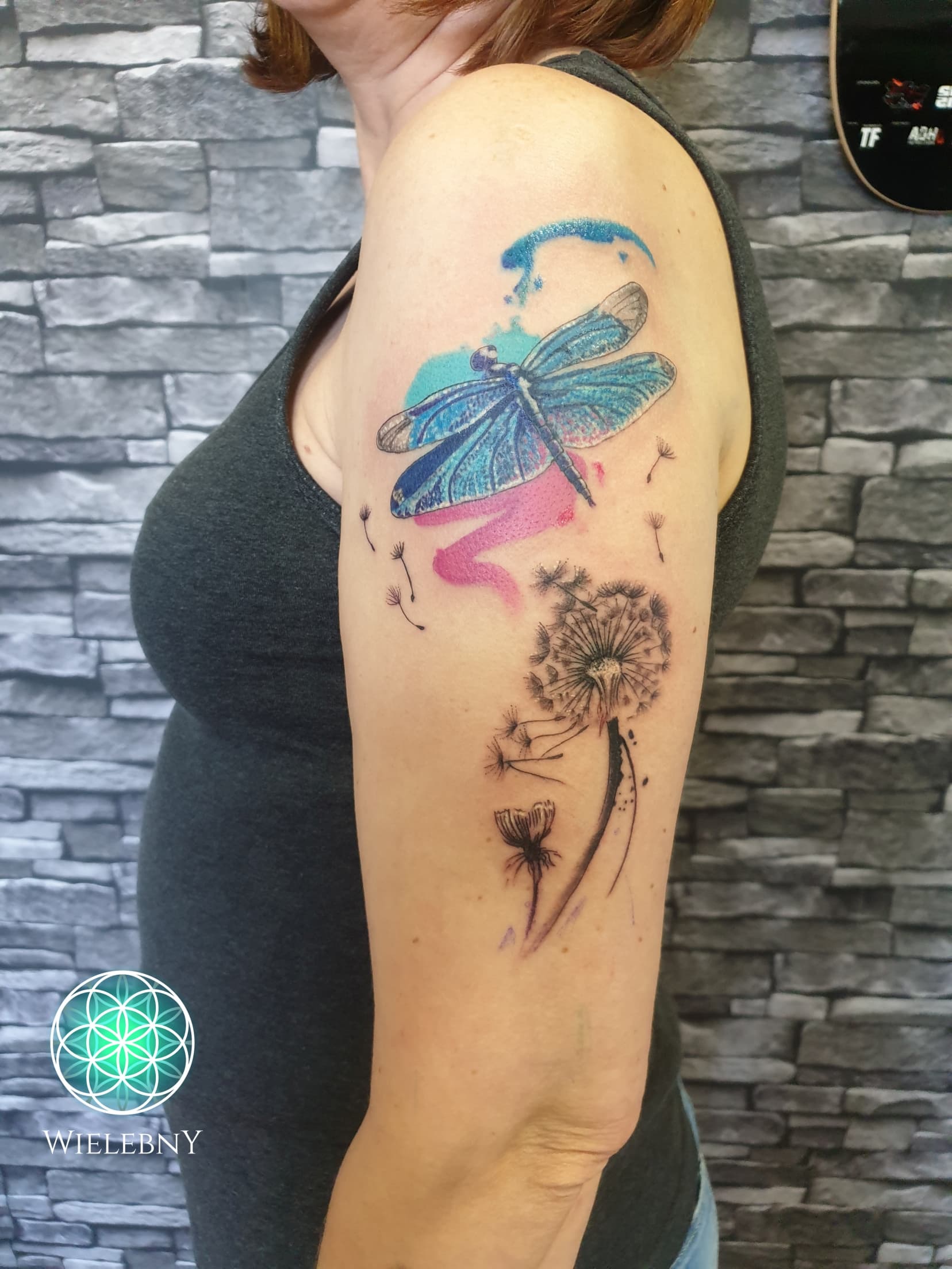 Ważka-dragonfly