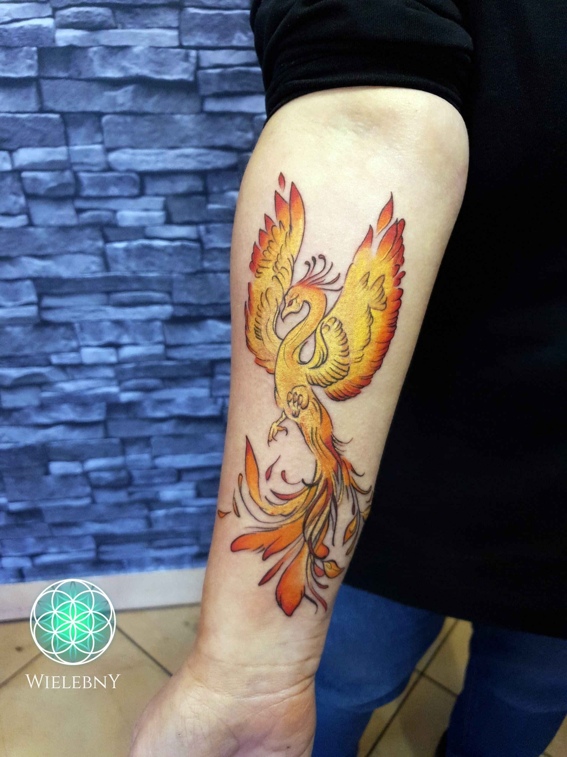 Fenix color