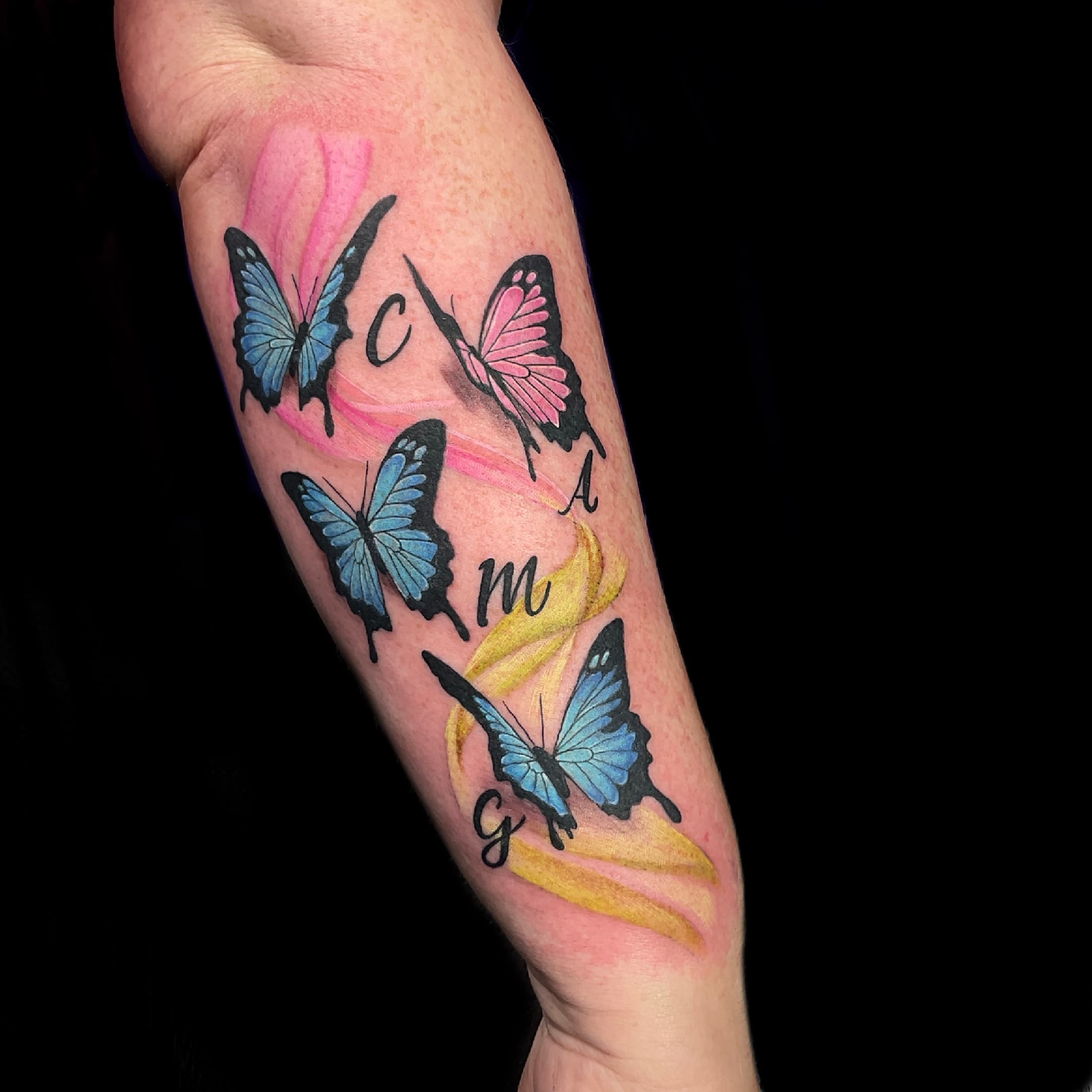Butterfly