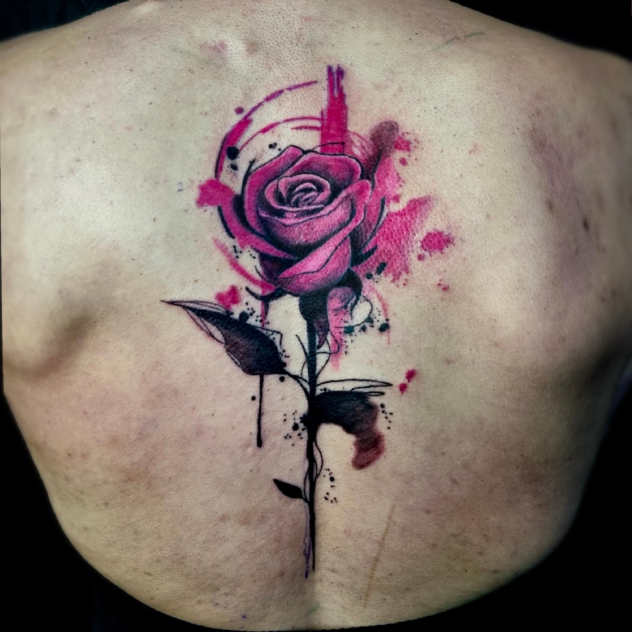 Rose Splash