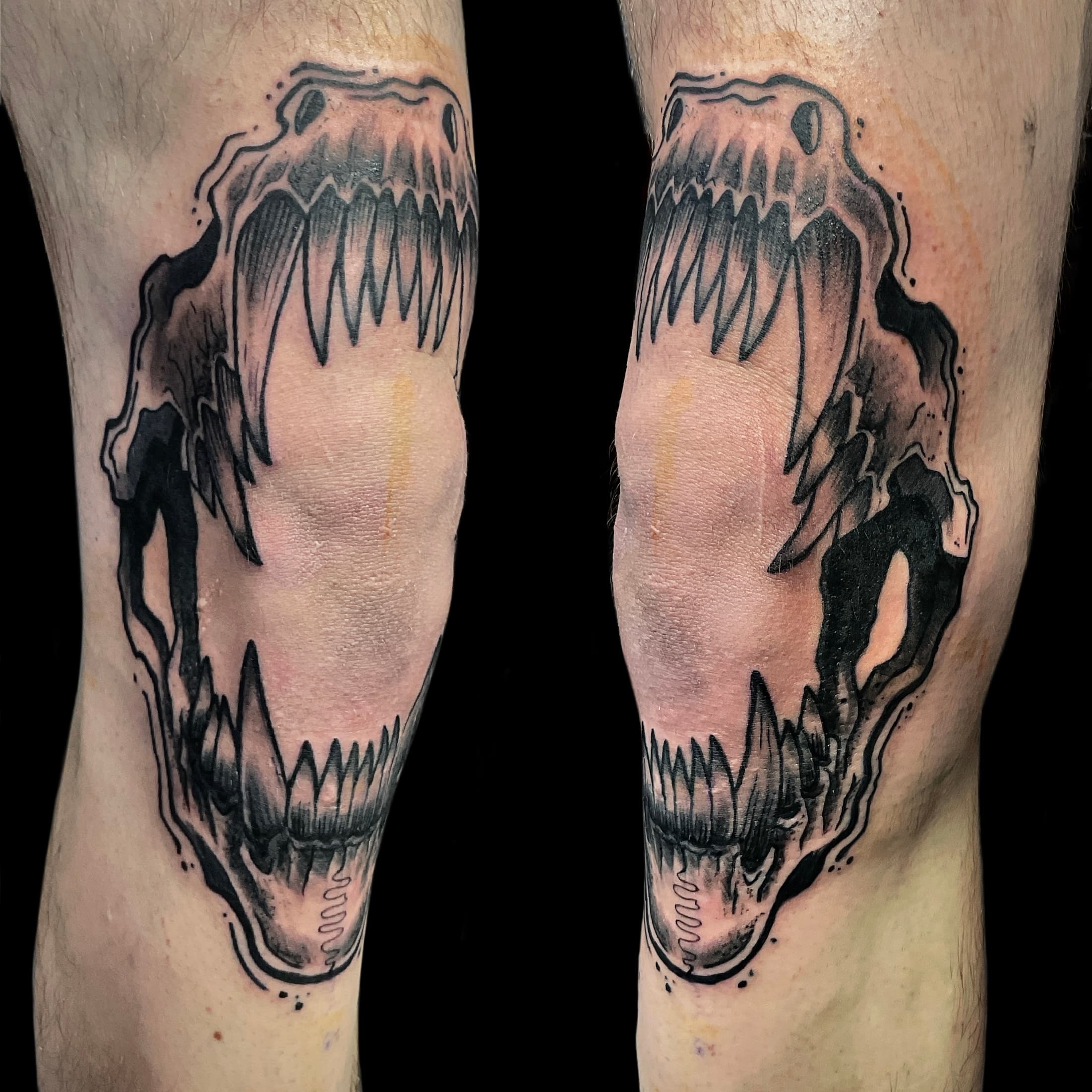 animal skull