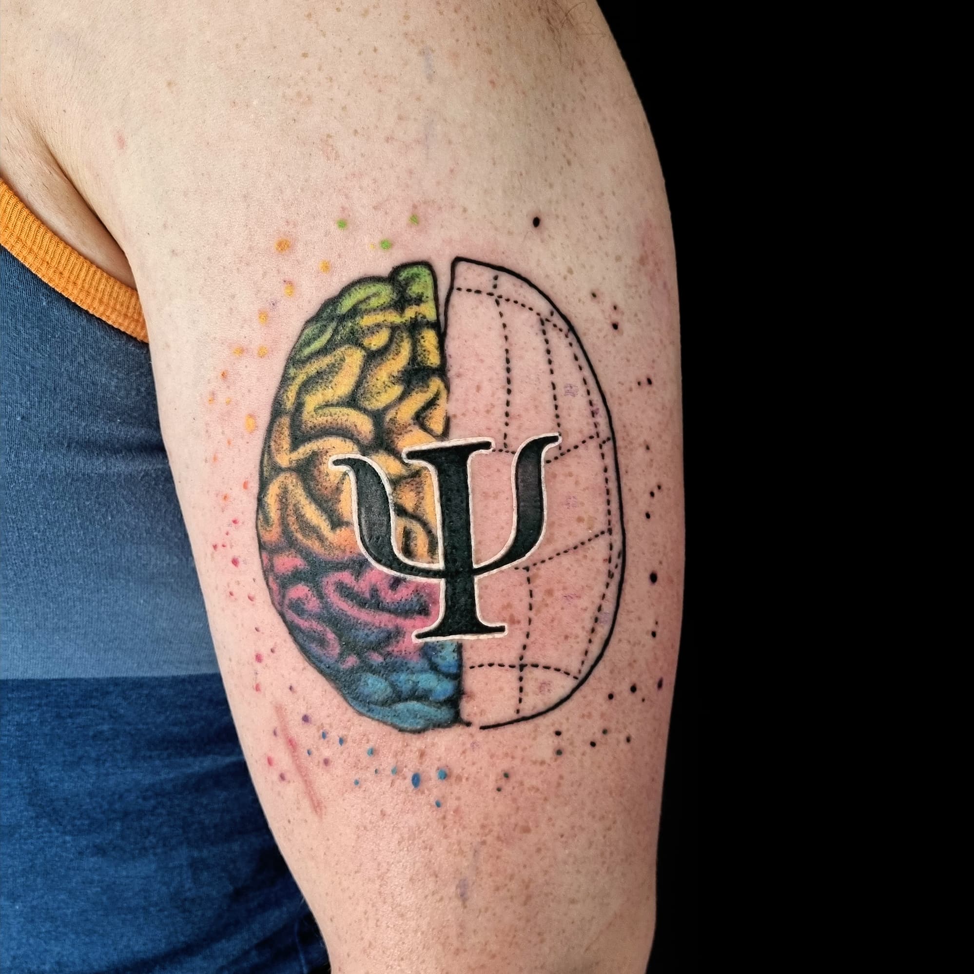 Brain