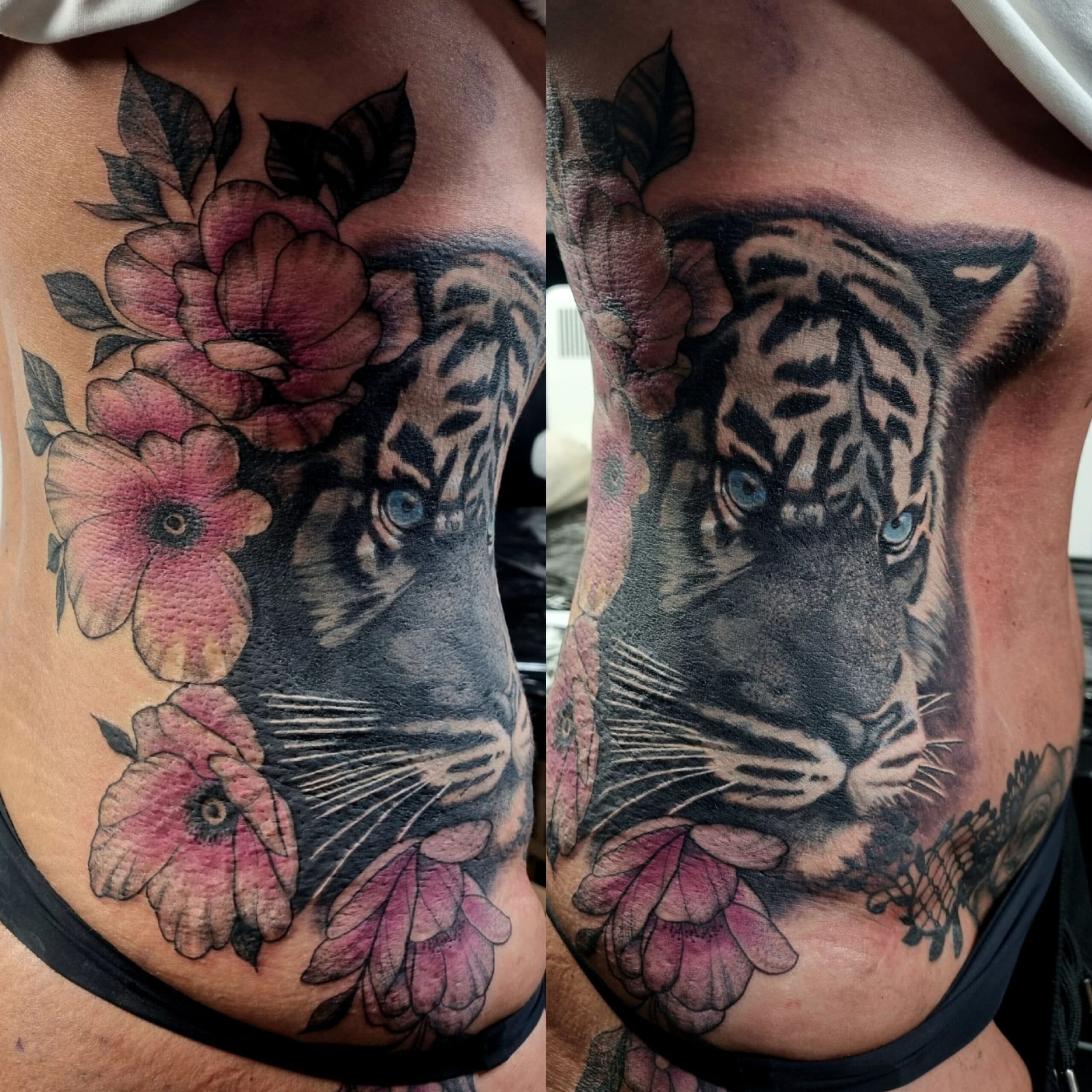 Tiger and colour flowers