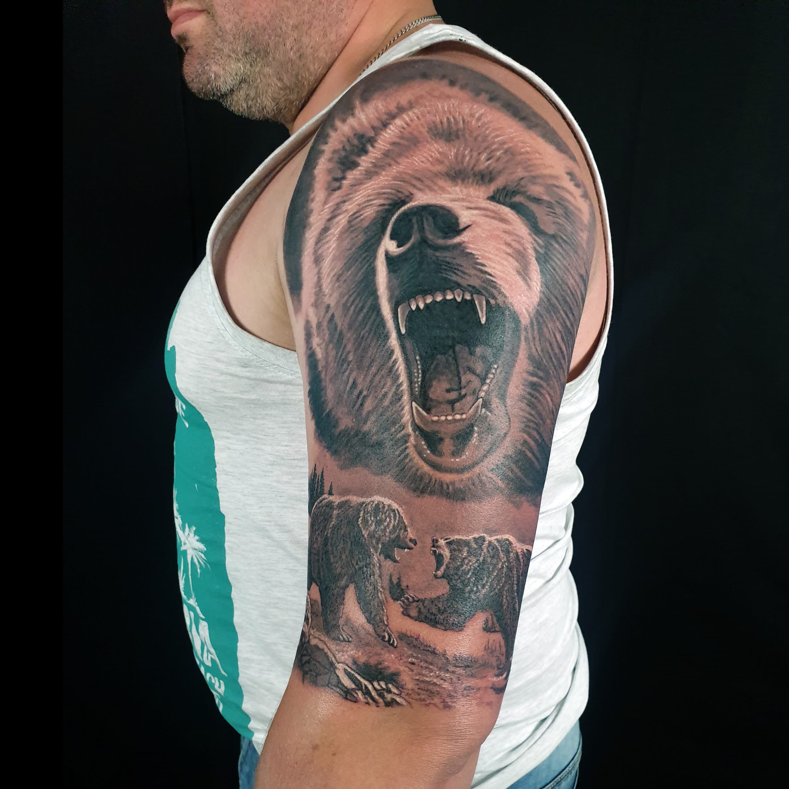 Bears