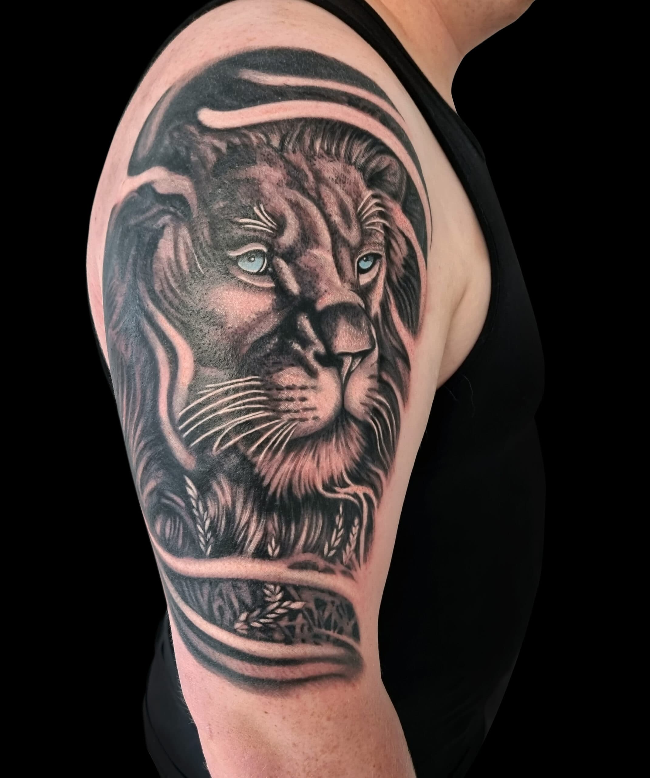 Lion