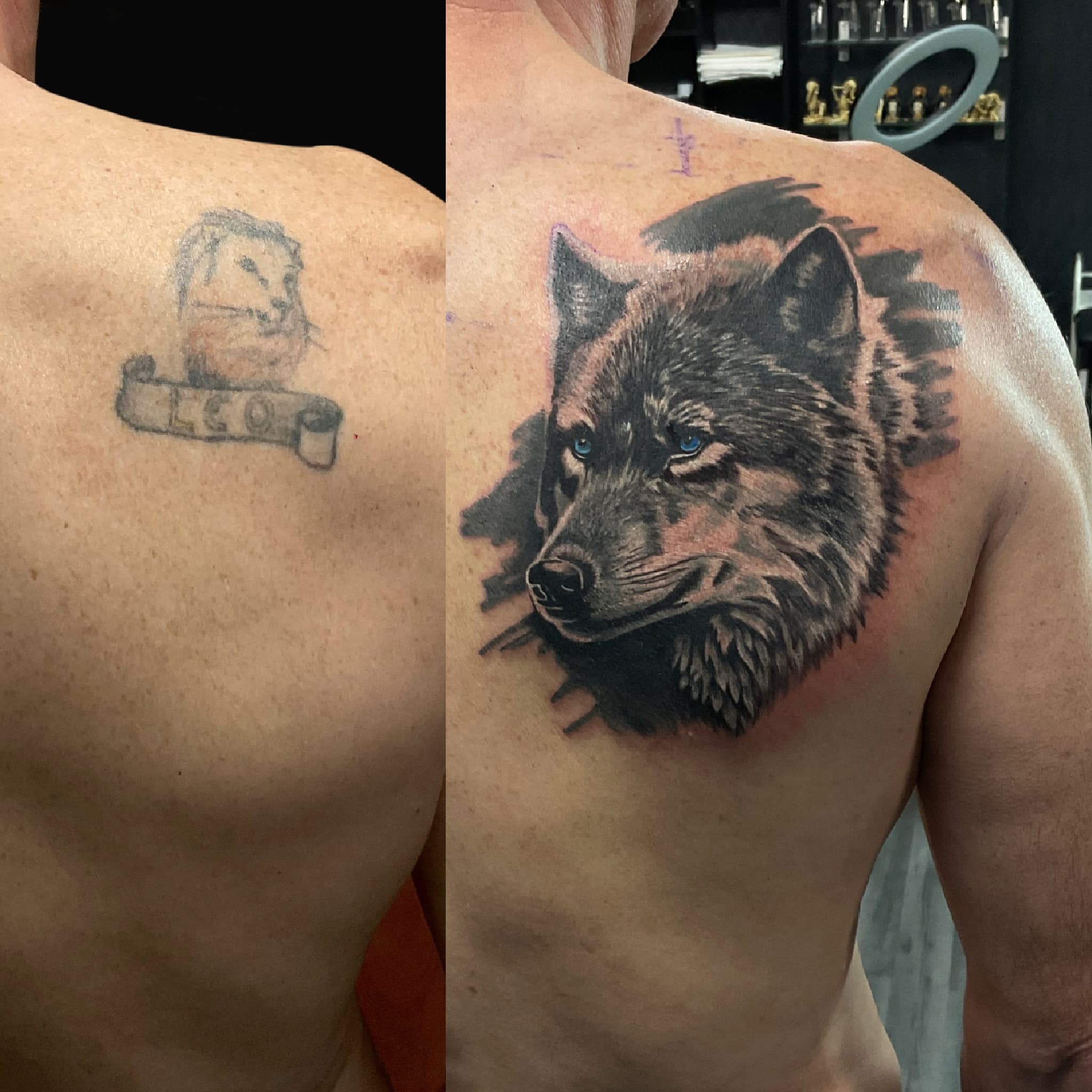 Wolf